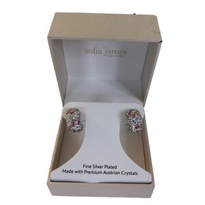 Silver Earrings with Multicolor Crystals